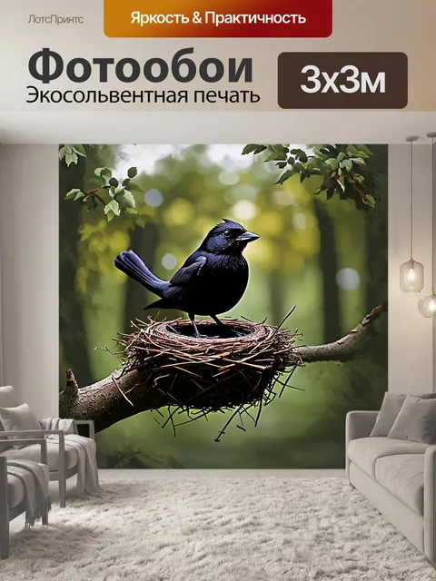 Фотообои черный дрозд, охраняющий свое гнездо с высоко расположенным ракурсом, подчеркивающим структуру гнезда и…