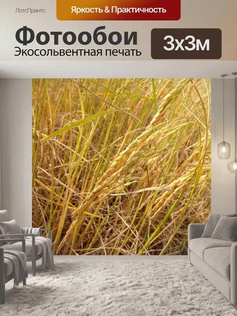Фотообои Зрелый урожай золотого риса