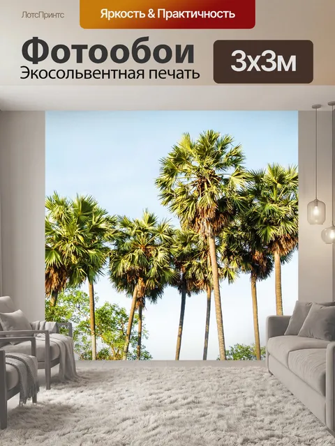 Фотообои Сахарная пальма
