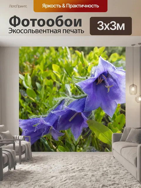 Фотообои Цветы