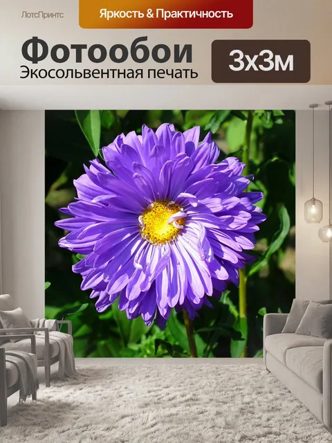Фотообои Цветы
