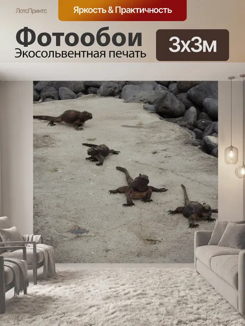 Фотообои Игуаны соленой воды
