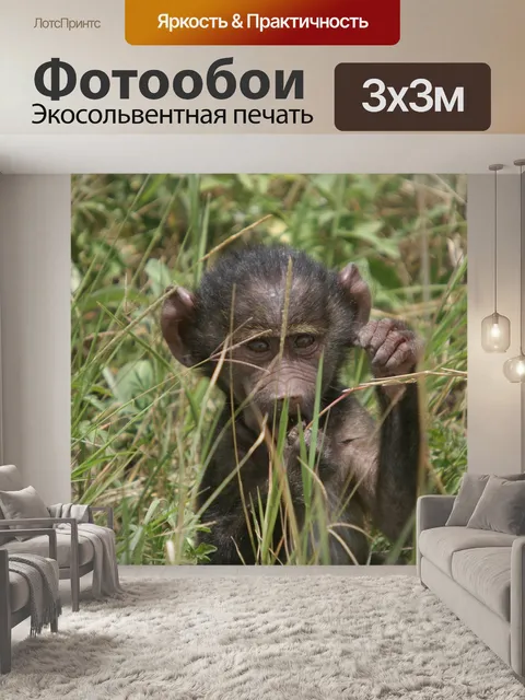 Фотообои Моно
