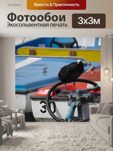 Фотообои Птица