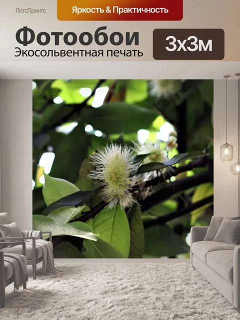 Фотообои Красивая