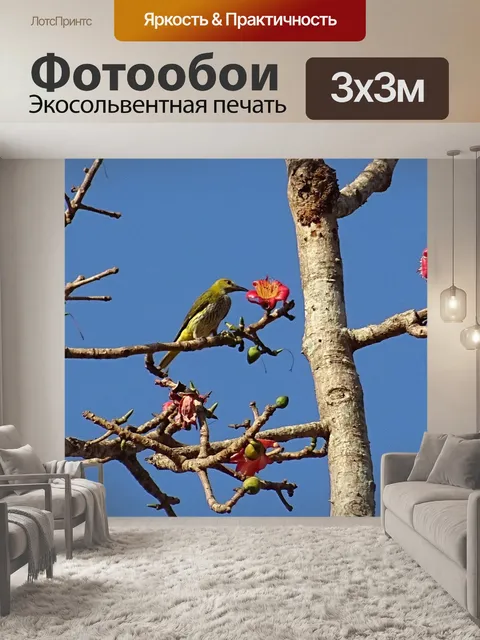 Фотообои Птица