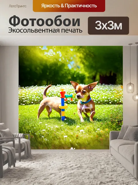 Фотообои чихуахуа играет с яркой игрушкой в парке, окруженный зеленью, где нежные цветы распускаются на фоне