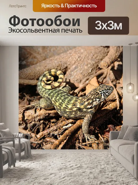 Фотообои Ящерица
