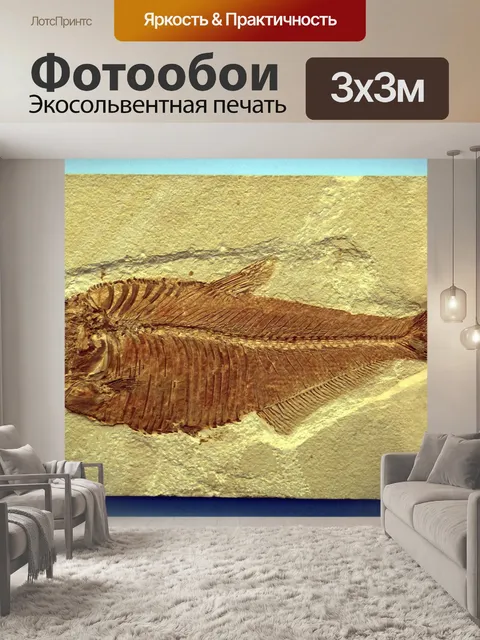 Фотообои Рыбы