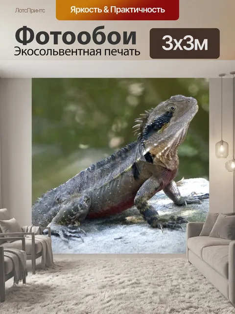 Фотообои Ящерица