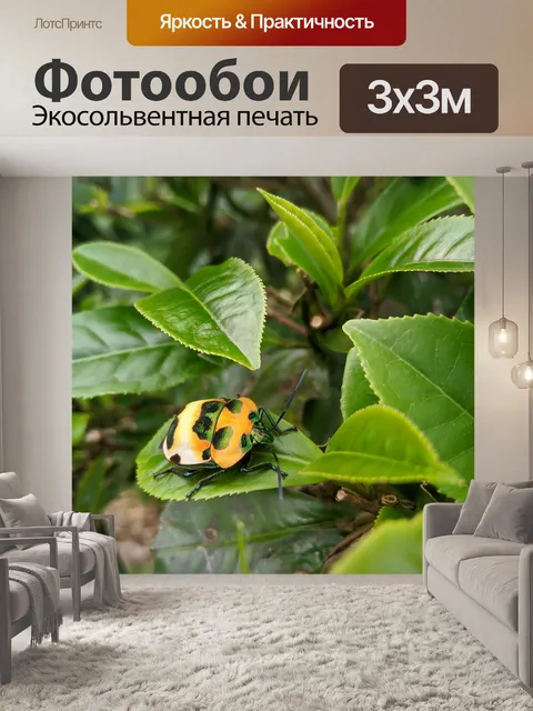 Фотообои Жук