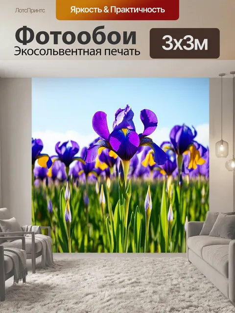Фотообои поле ирисов под ярким солнечным небом