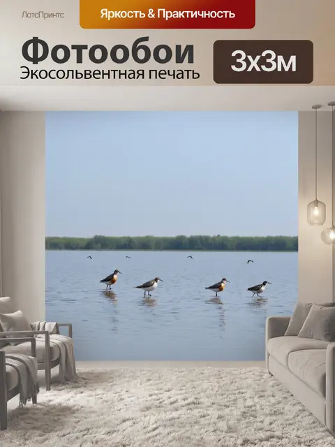 Фотообои озеро, где поют и отдыхают птицы, создавая гармоничную атмосферу