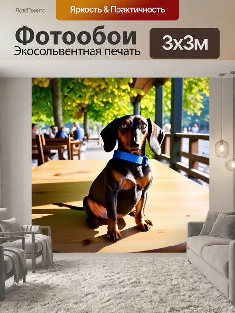 Фотообои в кафе на улице, такса в стильном голубом ошейнике, сидит на деревянном столе и наблюдает за прохожими