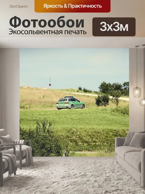 Фотообои Полиция