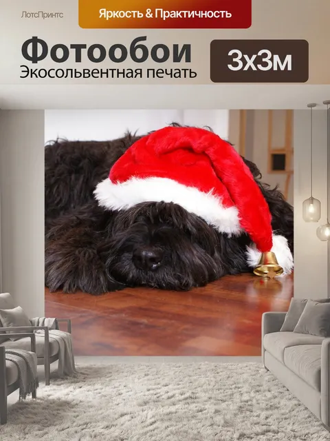 Фотообои Собака