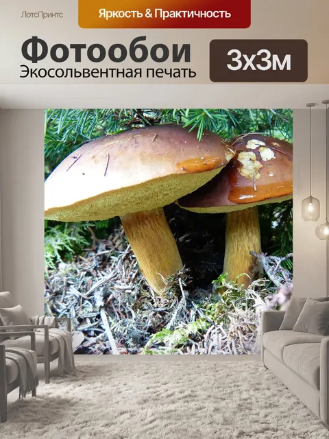 Фотообои Сбор