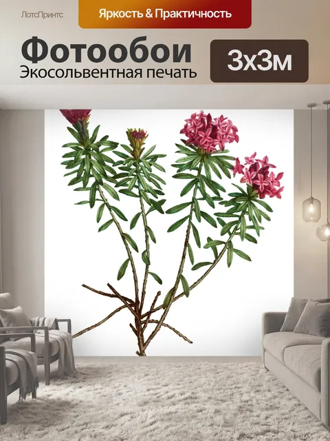 Фотообои Клипарт Vintage flower art