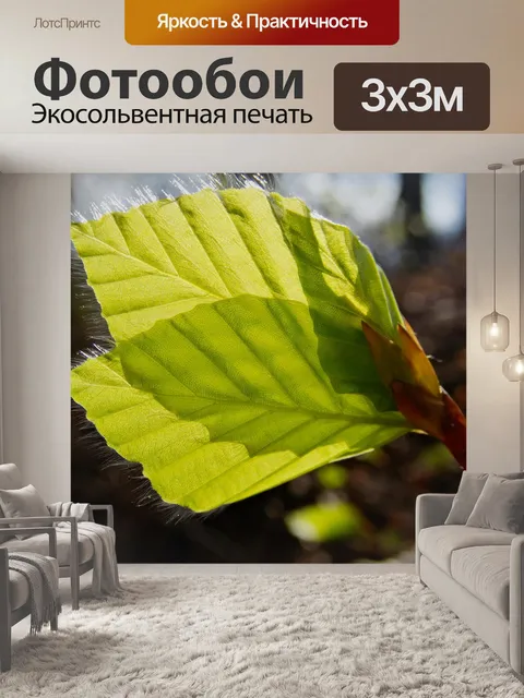 Фотообои Лист