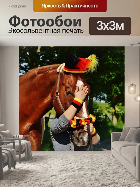 Фотообои Чемпионат европы
