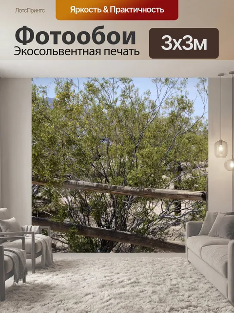 Фотообои Деревянный забор с кисточкой пустыни