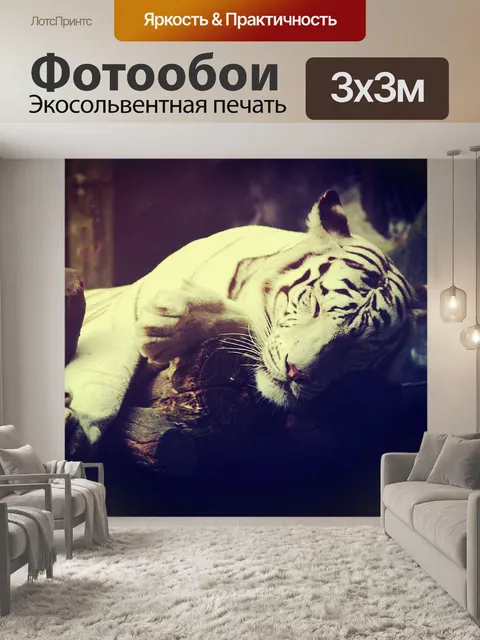 Фотообои тигр в зоопарке Таиланда