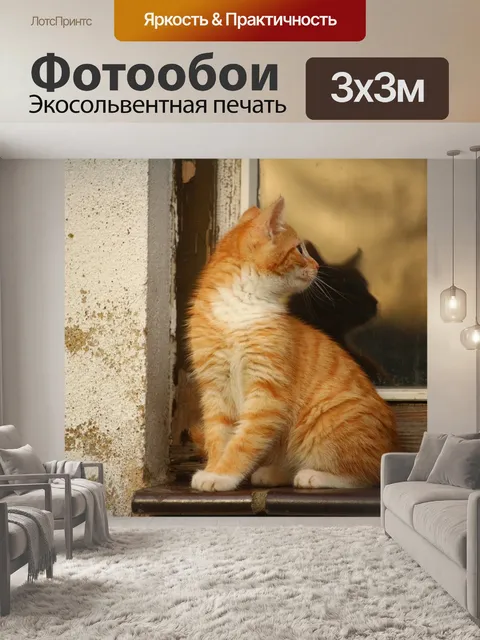 Фотообои Кот