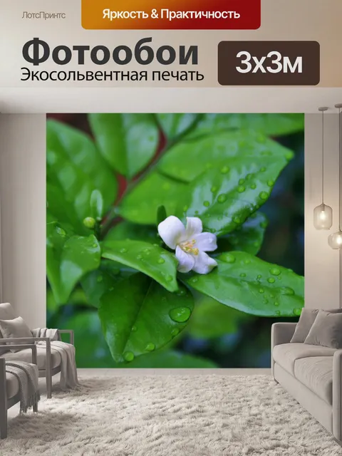 Фотообои мокрые листья и цветок экзотики