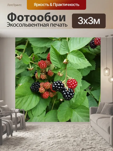 Фотообои Ежевика