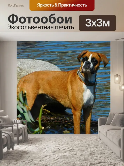 Фотообои Собака