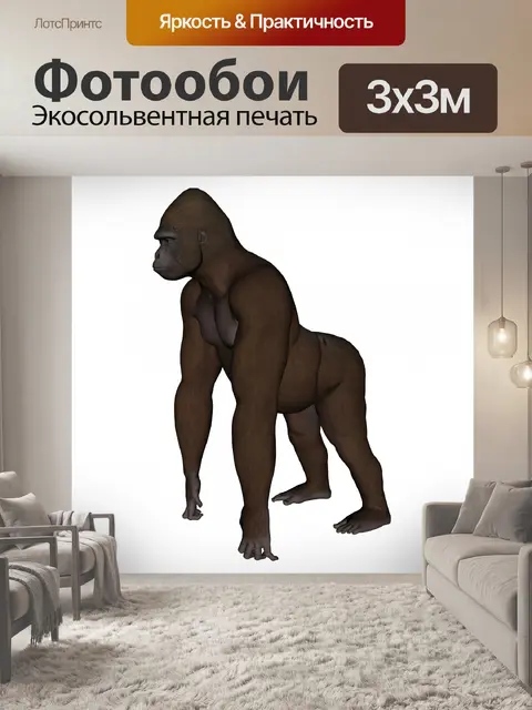 Фотообои горилла