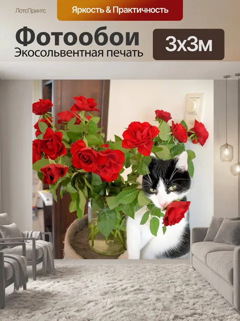 Фотообои Кошка и розы