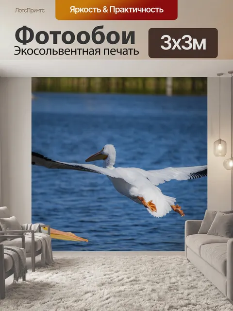 Фотообои Два белых пеликана