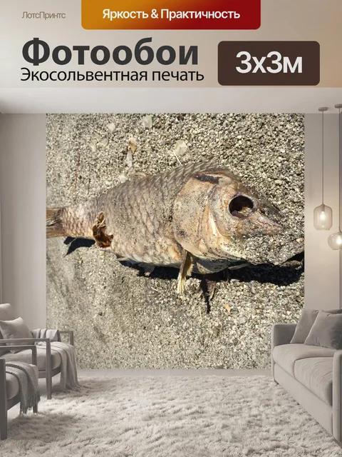 Фотообои Мертвая рыба