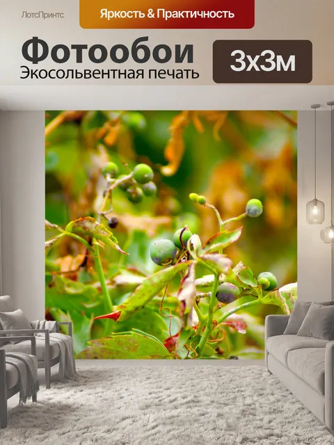 Фотообои Зеленые ягоды