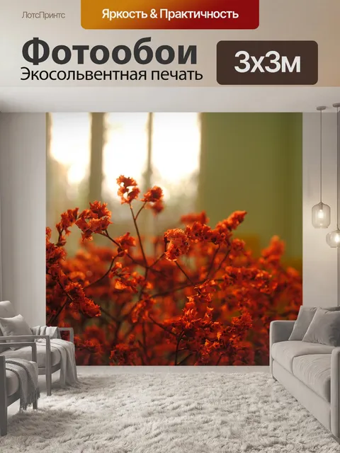 Фотообои Заход солнца