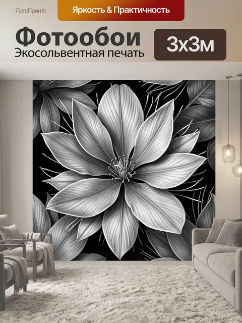 Фотообои Белая лилия на черном фоне