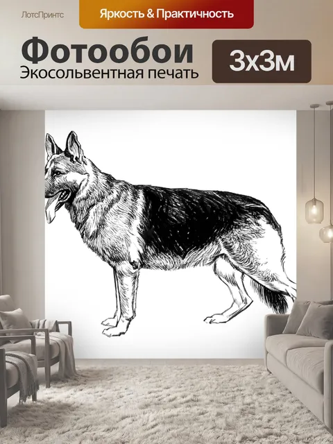 Фотообои Собака немецкая овчарка