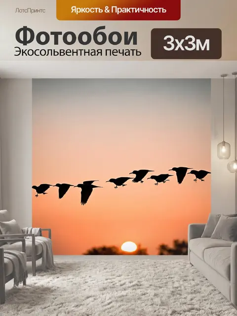 Фотообои птицы на закате