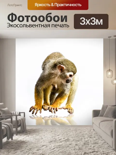 Фотообои Животное