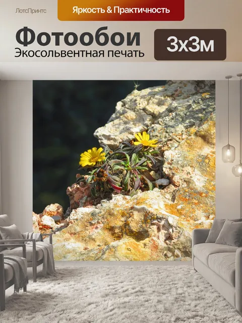 Фотообои Цветок