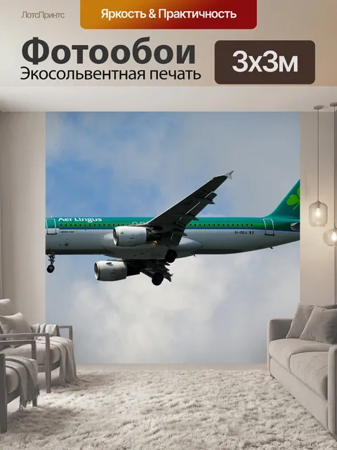 Фотообои Aer lingus