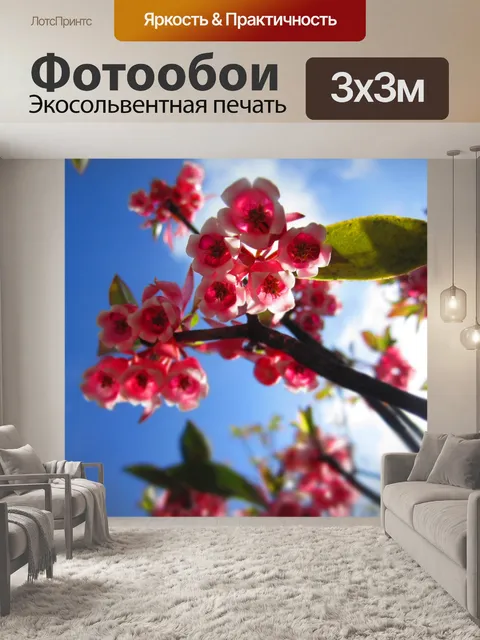 Фотообои Персиковый цвет колокол