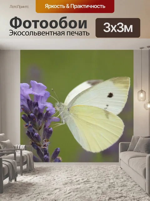Фотообои Маленькая капуста белая бабочка