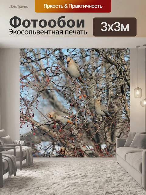 Фотообои Птицы