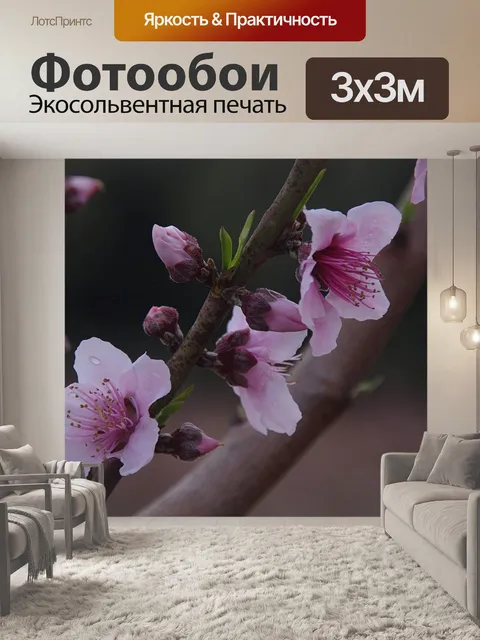 Фотообои Цветы, листья в персиковом саду