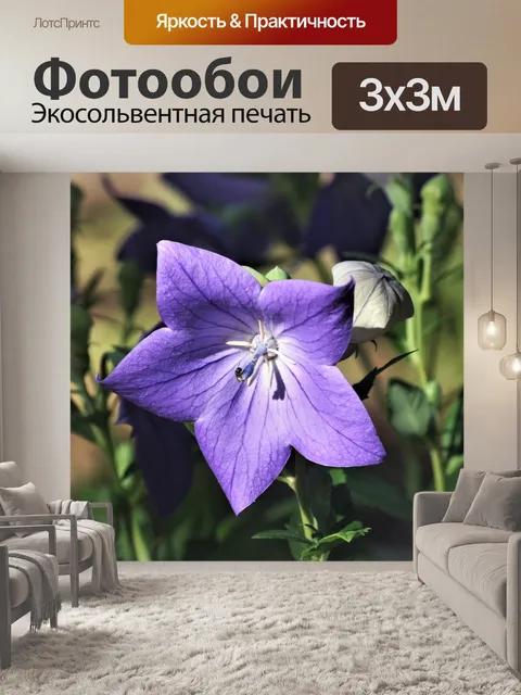 Фотообои Воздушный шар и бутоны
