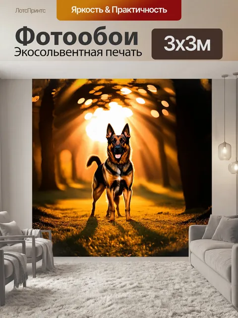 Фотообои немецкая овчарка, гордо стоящая на фоне заката, с лучами солнца, пробивающимися сквозь деревья