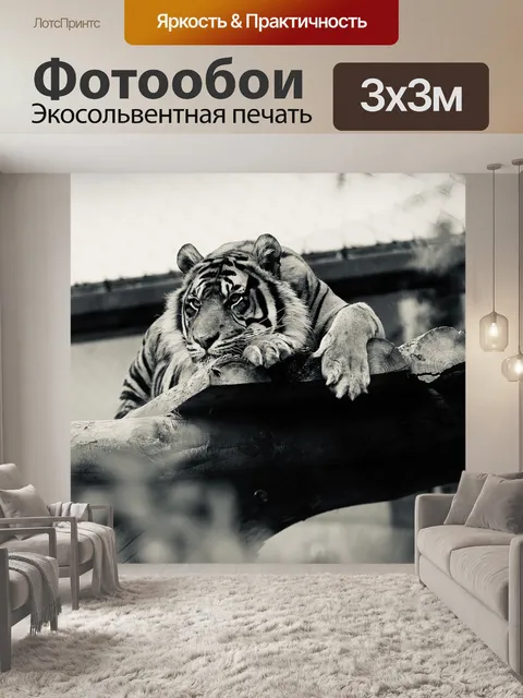 Фотообои Тигр