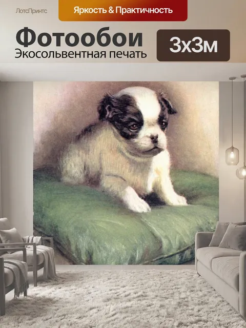 Фотообои Японский Чин Японский Спаниель